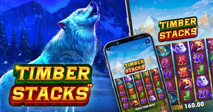 Timber stacks slot
